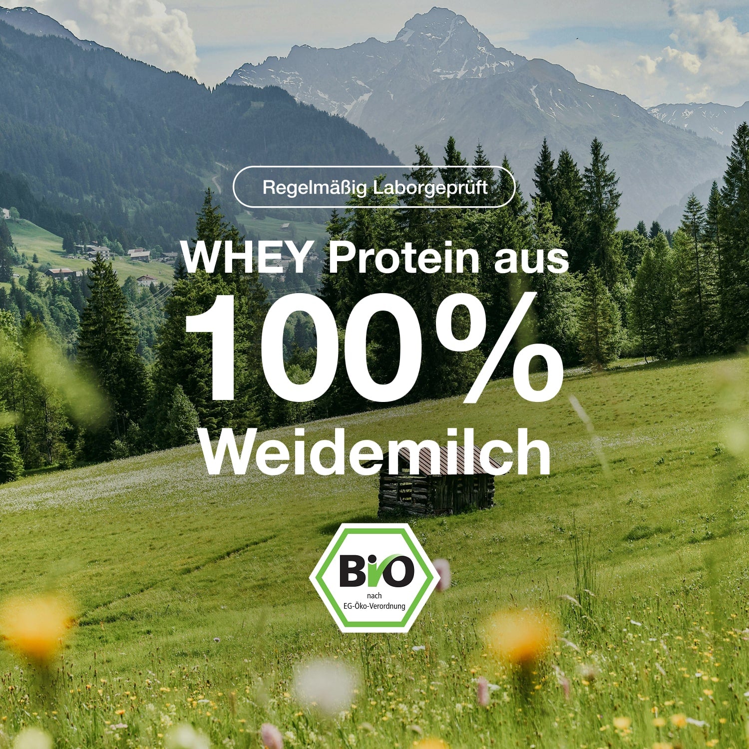 Bio Whey Protein 1000g